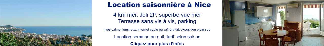location saisonniere nice
