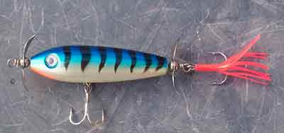 poissons à hélices