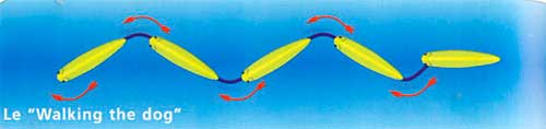 Le Walking the Dog